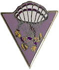 515th Airborne Brigade