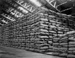 Warehouse filled with sacks/bags stacked 17 high on pallets, except the first pallet that's only 8 high.