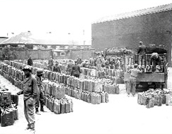 Fuel depot of gas cans lined up.